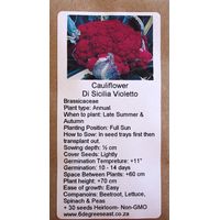 6 Degrees East Heirloom Veg Seeds - Cauliflower - Cavolfiore di Sicilia Violette (Purple)